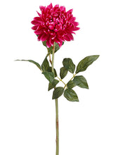 Load image into Gallery viewer, Rubrum