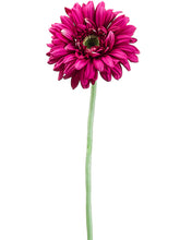 Load image into Gallery viewer, Rubrum