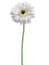 Load image into Gallery viewer, White