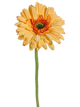 Load image into Gallery viewer, Yellow