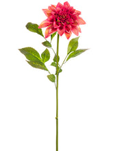 Load image into Gallery viewer, Beauty