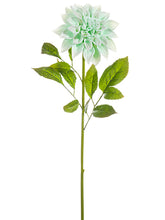 Load image into Gallery viewer, Seafoam