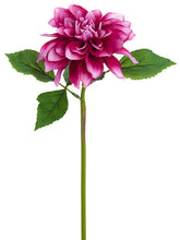 Load image into Gallery viewer, Rubrum