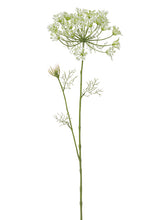 Load image into Gallery viewer, Cream