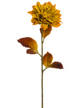 Load image into Gallery viewer, Mustard