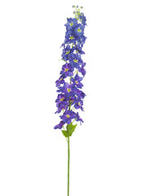 Load image into Gallery viewer, Blue Purple