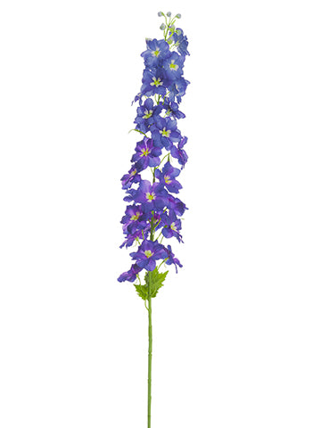 Blue Purple