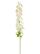 Load image into Gallery viewer, Pink Cream