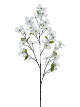 Load image into Gallery viewer, White