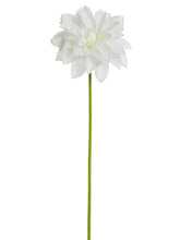 Load image into Gallery viewer, Cream