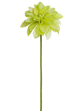 Load image into Gallery viewer, Green