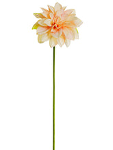 Load image into Gallery viewer, Blush