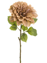 Load image into Gallery viewer, Mauve