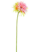 Load image into Gallery viewer, Pink Cream