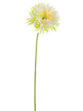 Load image into Gallery viewer, White Green