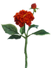 Load image into Gallery viewer, Orange