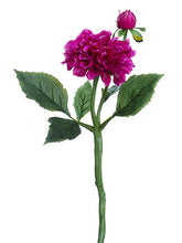 Load image into Gallery viewer, Rubrum