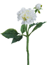 Load image into Gallery viewer, White