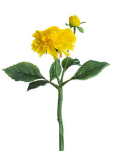 Load image into Gallery viewer, Yellow