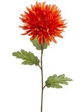 Load image into Gallery viewer, Orange