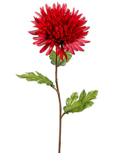 Load image into Gallery viewer, Red