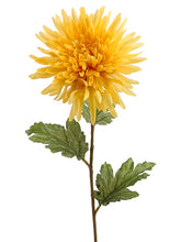 Load image into Gallery viewer, Yellow