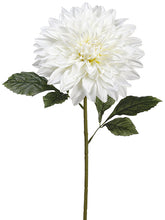 Load image into Gallery viewer, White Cream
