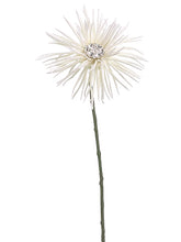 Load image into Gallery viewer, White
