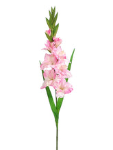 Load image into Gallery viewer, Pink