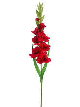 Load image into Gallery viewer, Red