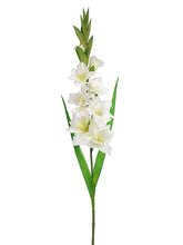 Load image into Gallery viewer, White