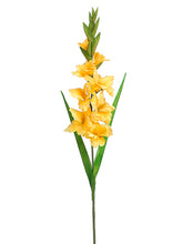Load image into Gallery viewer, Yellow