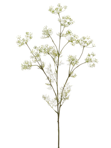White Green