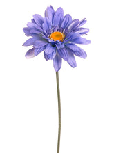 Load image into Gallery viewer, Blue Helio