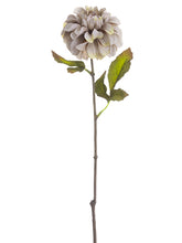 Load image into Gallery viewer, Antique Beige