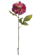 Load image into Gallery viewer, Antique Burgundy