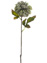 Load image into Gallery viewer, Antique Green
