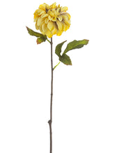 Load image into Gallery viewer, Antique Yellow