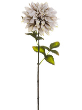 Load image into Gallery viewer, Antique Beige