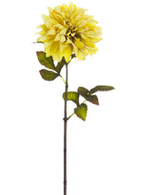 Load image into Gallery viewer, Antique Yellow