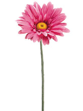 Load image into Gallery viewer, Cerise