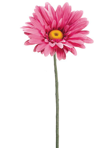 Cerise