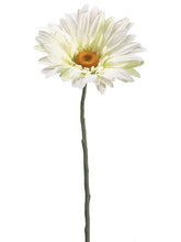 Load image into Gallery viewer, Cream