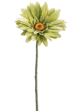 Load image into Gallery viewer, Green
