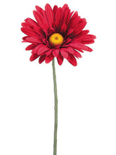 Load image into Gallery viewer, Red
