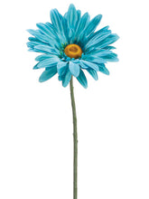 Load image into Gallery viewer, Turquoise