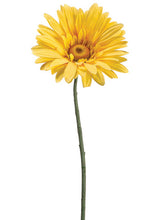 Load image into Gallery viewer, Yellow