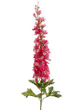 Load image into Gallery viewer, Two Tone Cerise