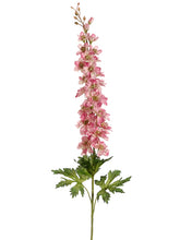 Load image into Gallery viewer, Two Tone Pink