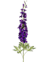Load image into Gallery viewer, Violet